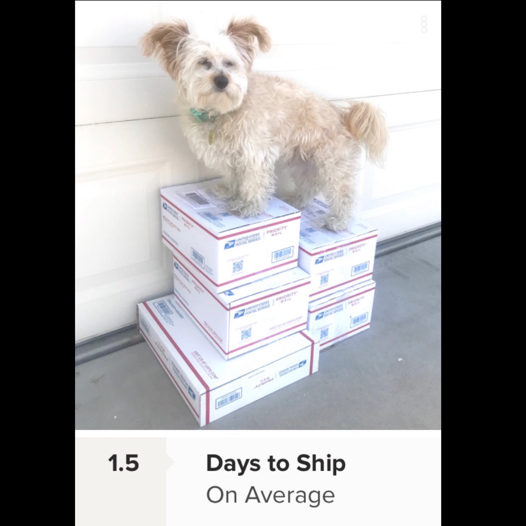 Ship